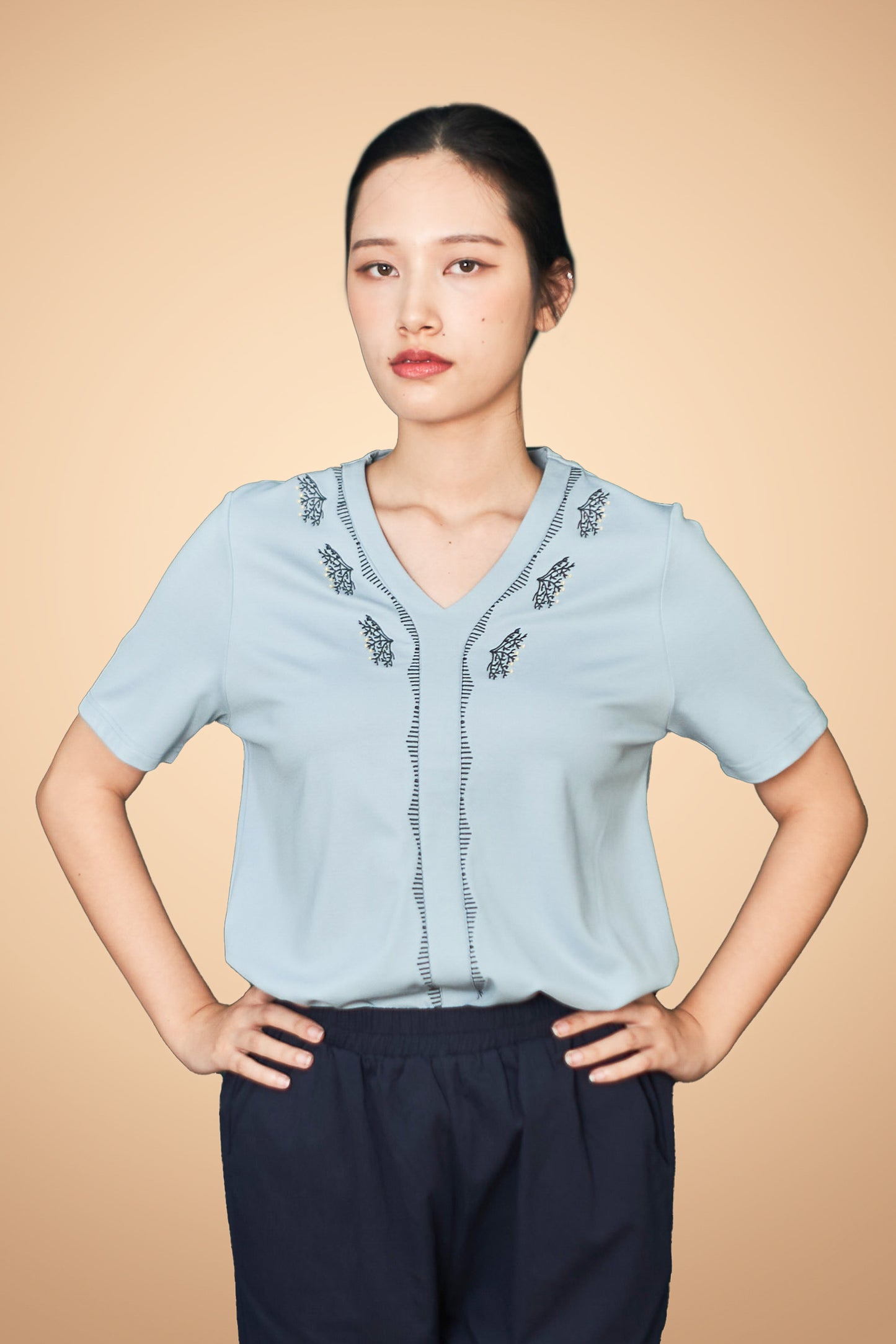 Embroidered Short Sleeve V Neck Top