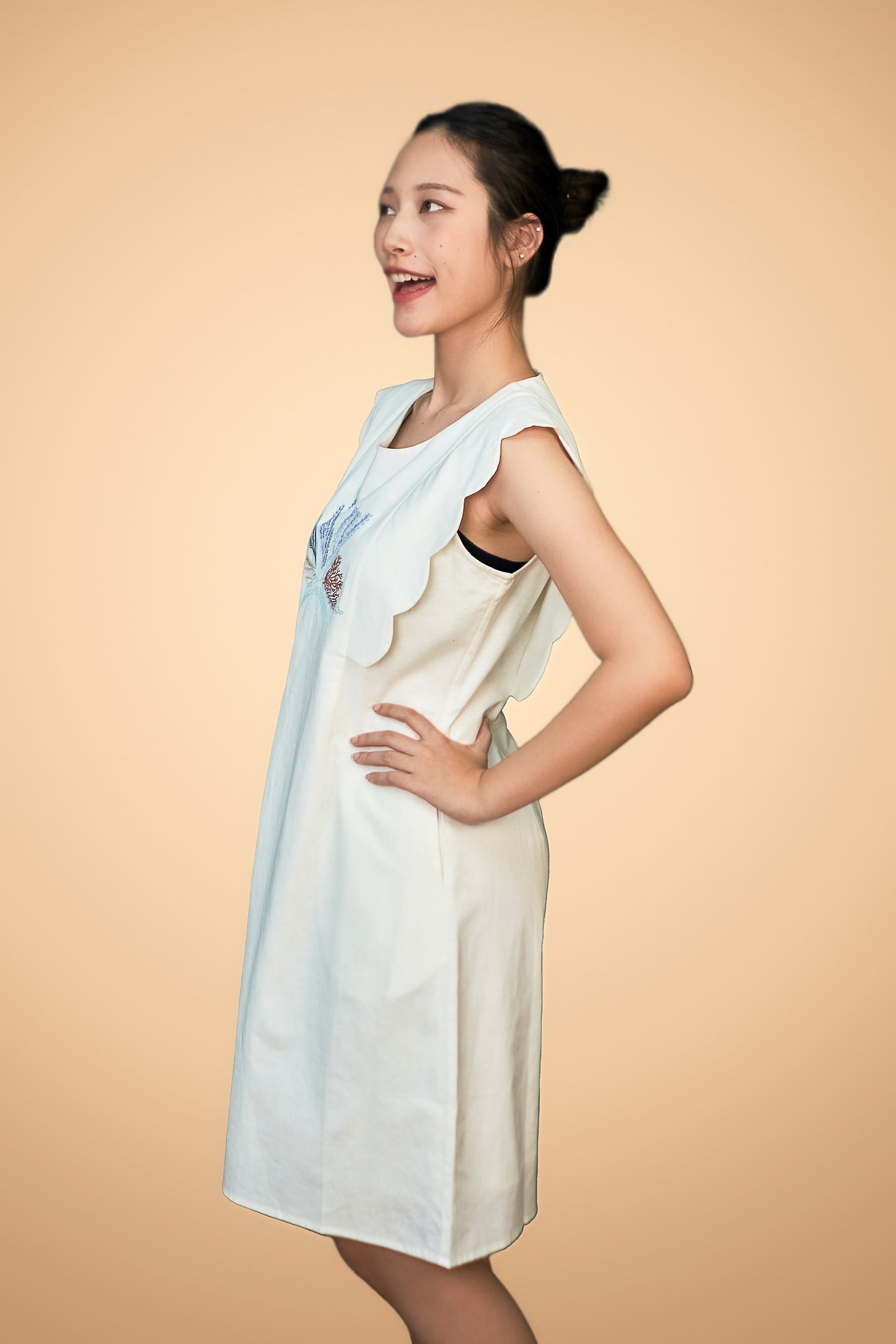 Embroidered Sleeveless Short Dress