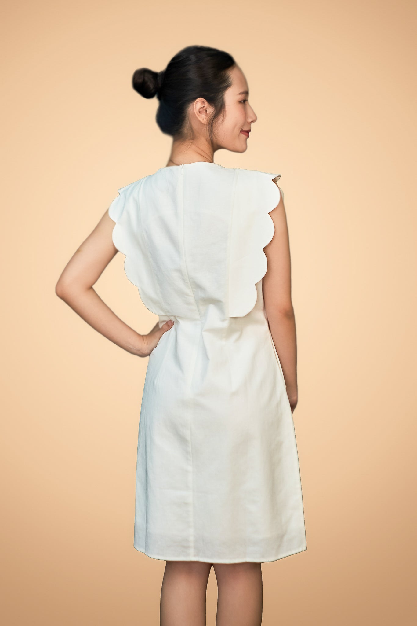 Embroidered Sleeveless Short Dress