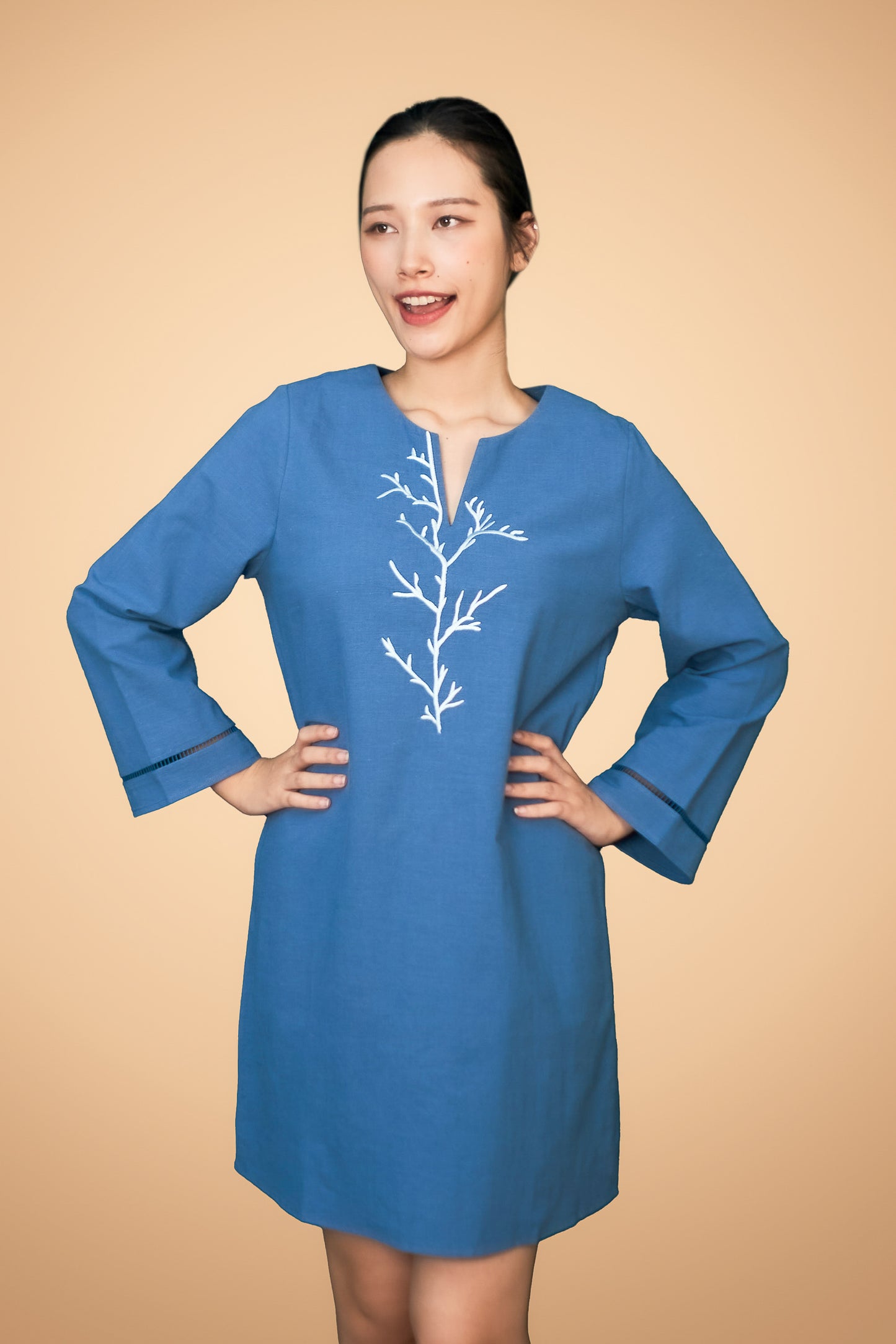 Embroidered Long Sleeve Short Dress