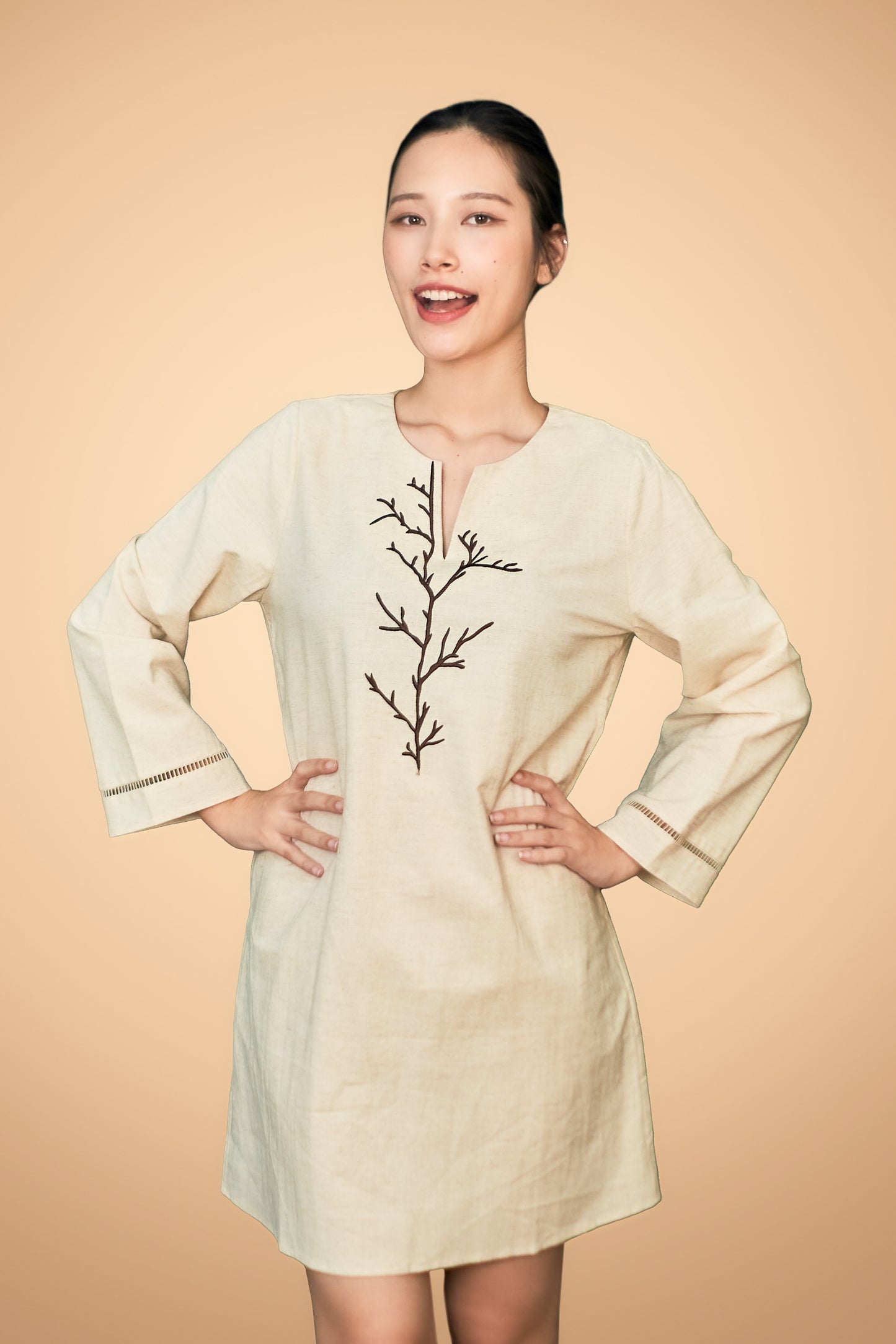 Embroidered Long Sleeve Short Dress
