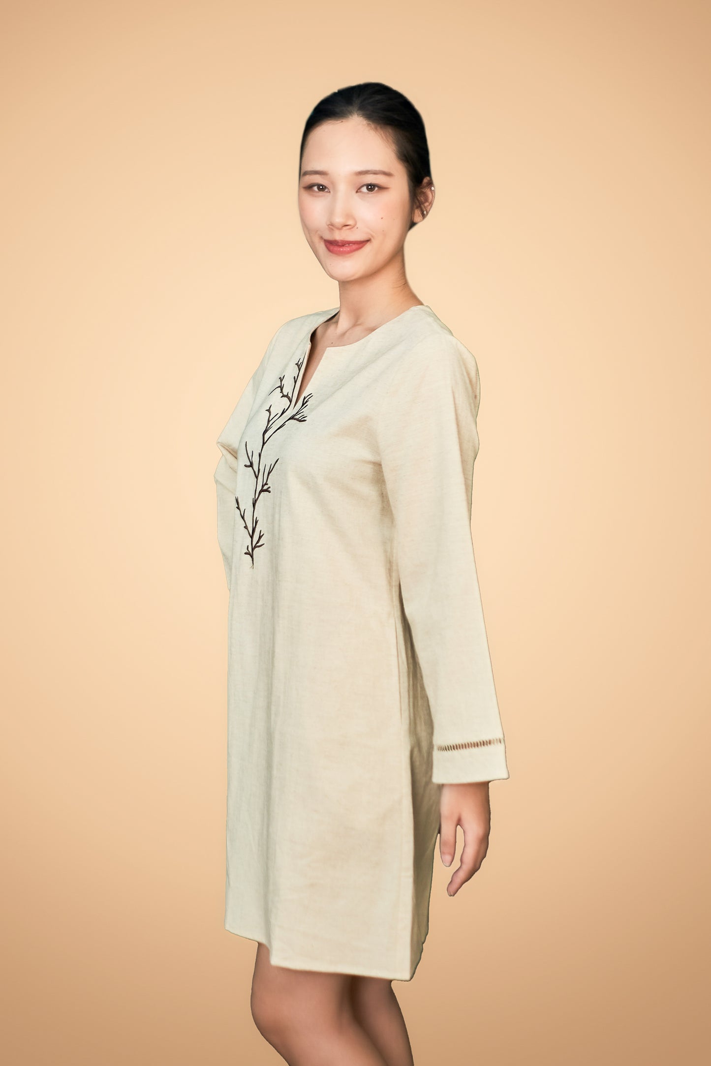 Embroidered Long Sleeve Short Dress