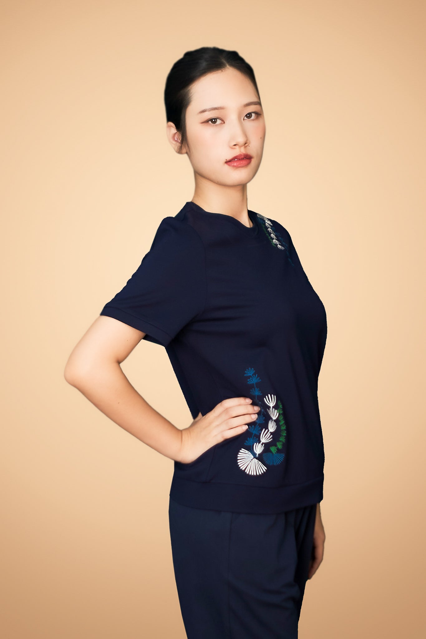 Embroidered Short Sleeve Top