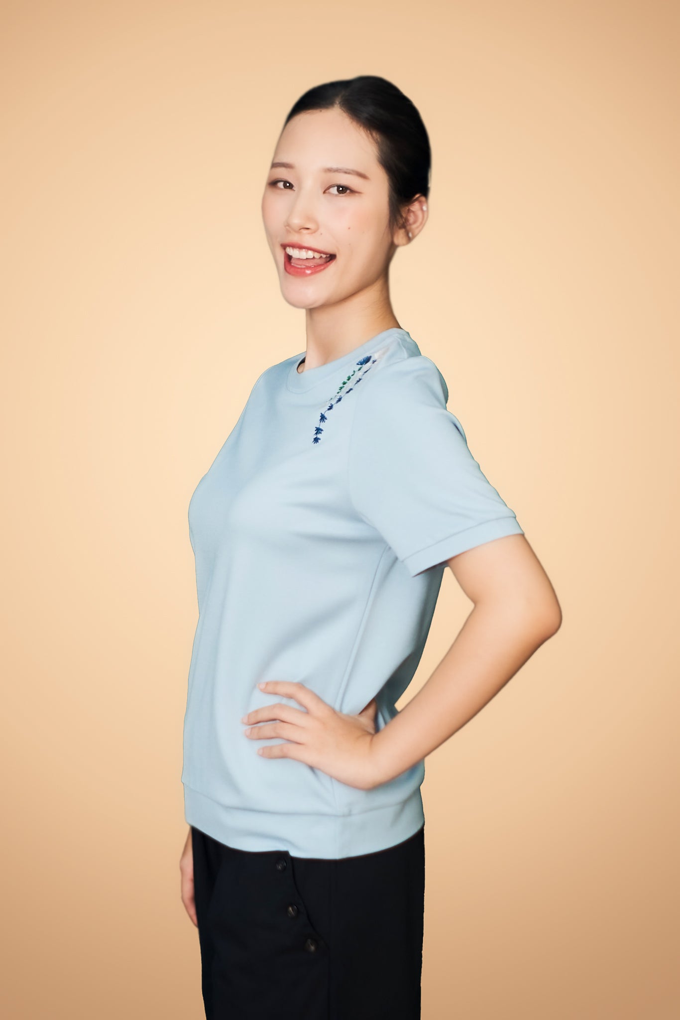 Embroidered Short Sleeve Top